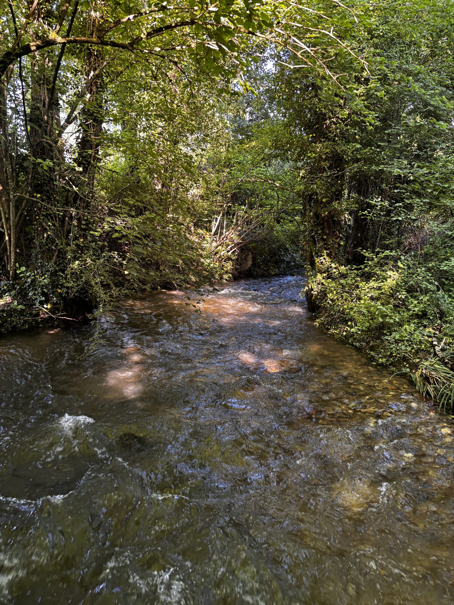 Rivières du Voironnais